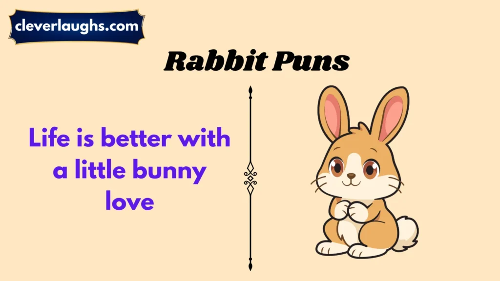 Cute Rabbit Puns
