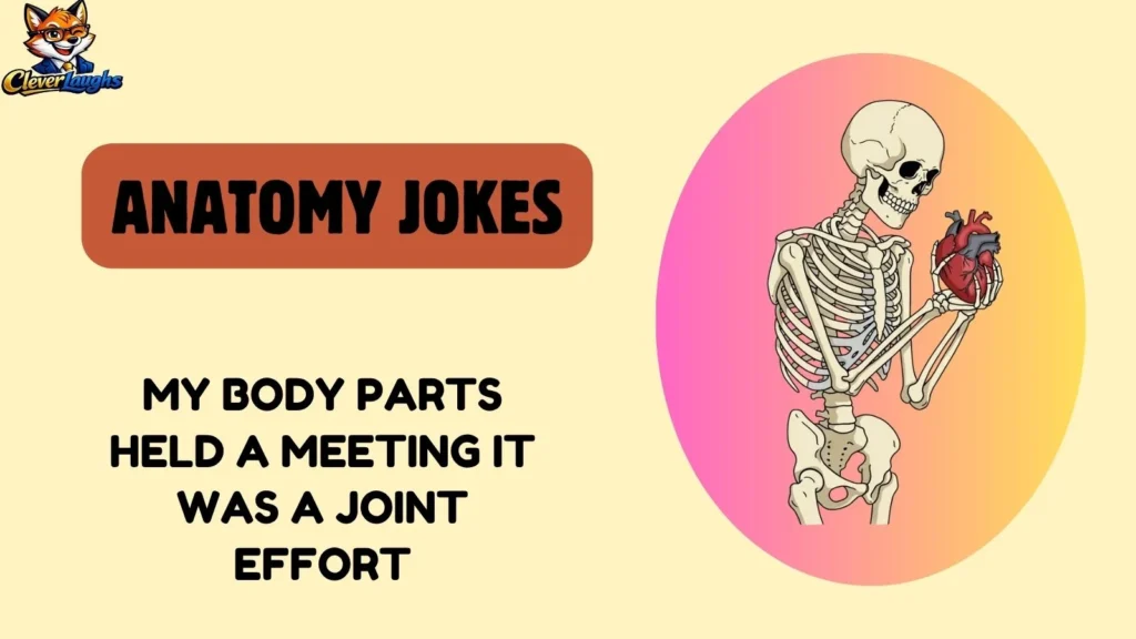 Funny Anatomy Jokes