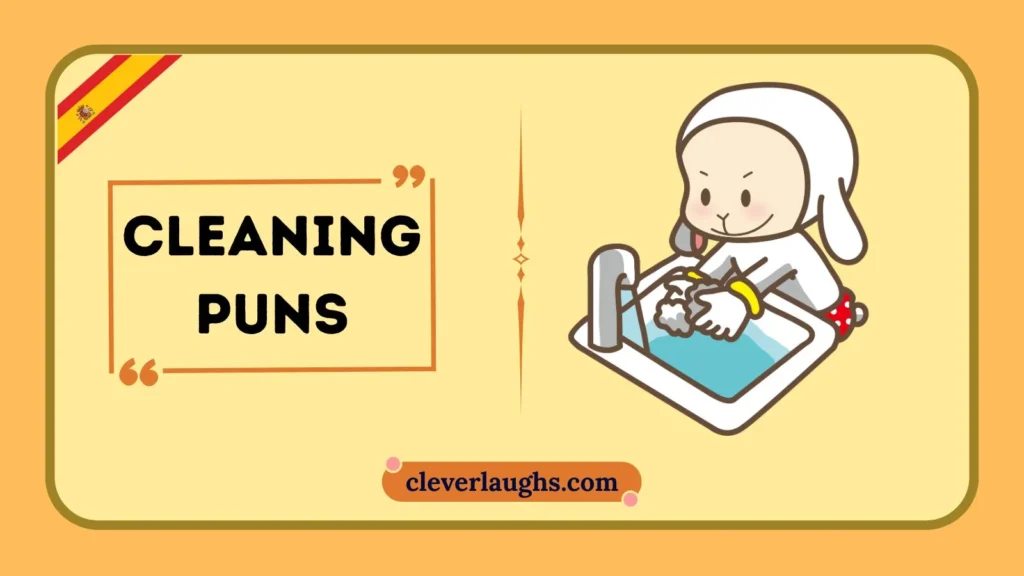 Funny Cleaning Puns