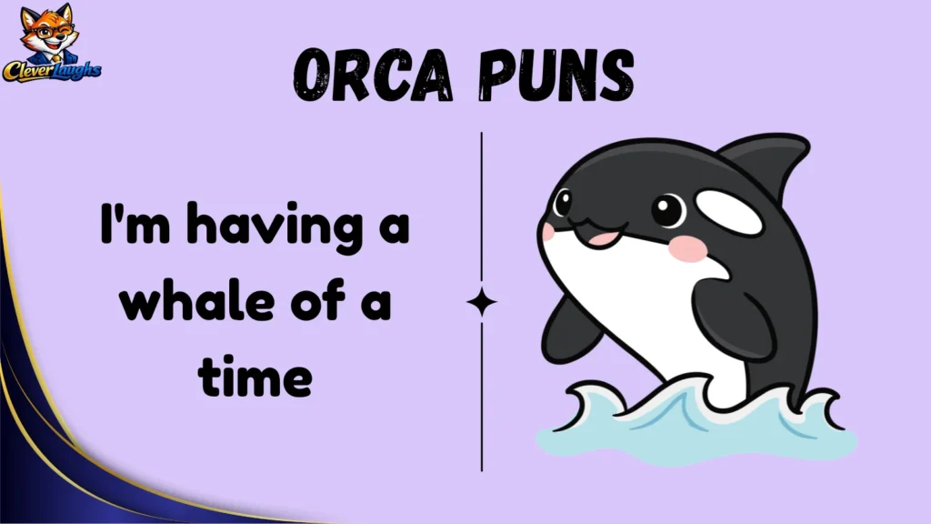 Funny Orca Puns