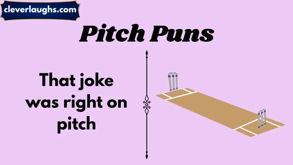 Funny Pitch Puns