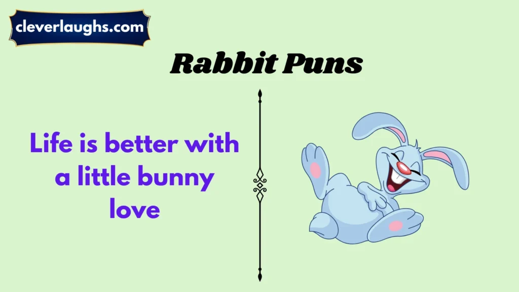 Funny Rabbit Puns