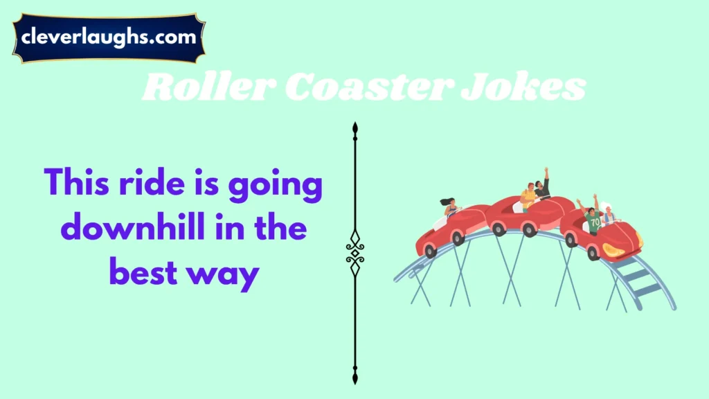 Roller Coaster Puns for Instagram