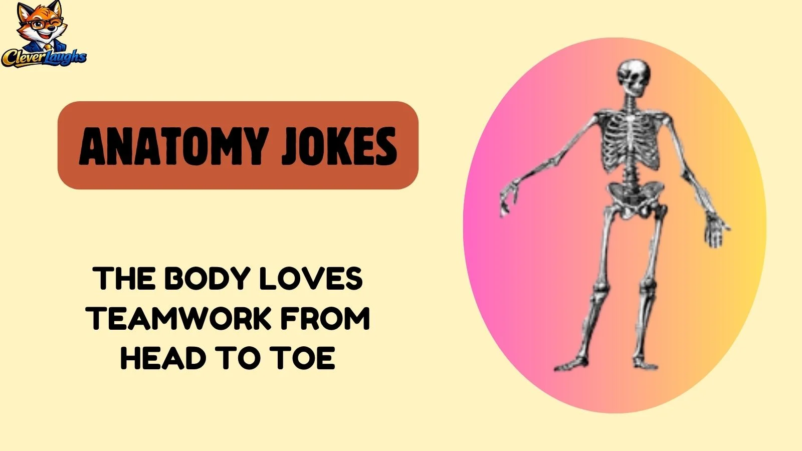 anatomy jokes